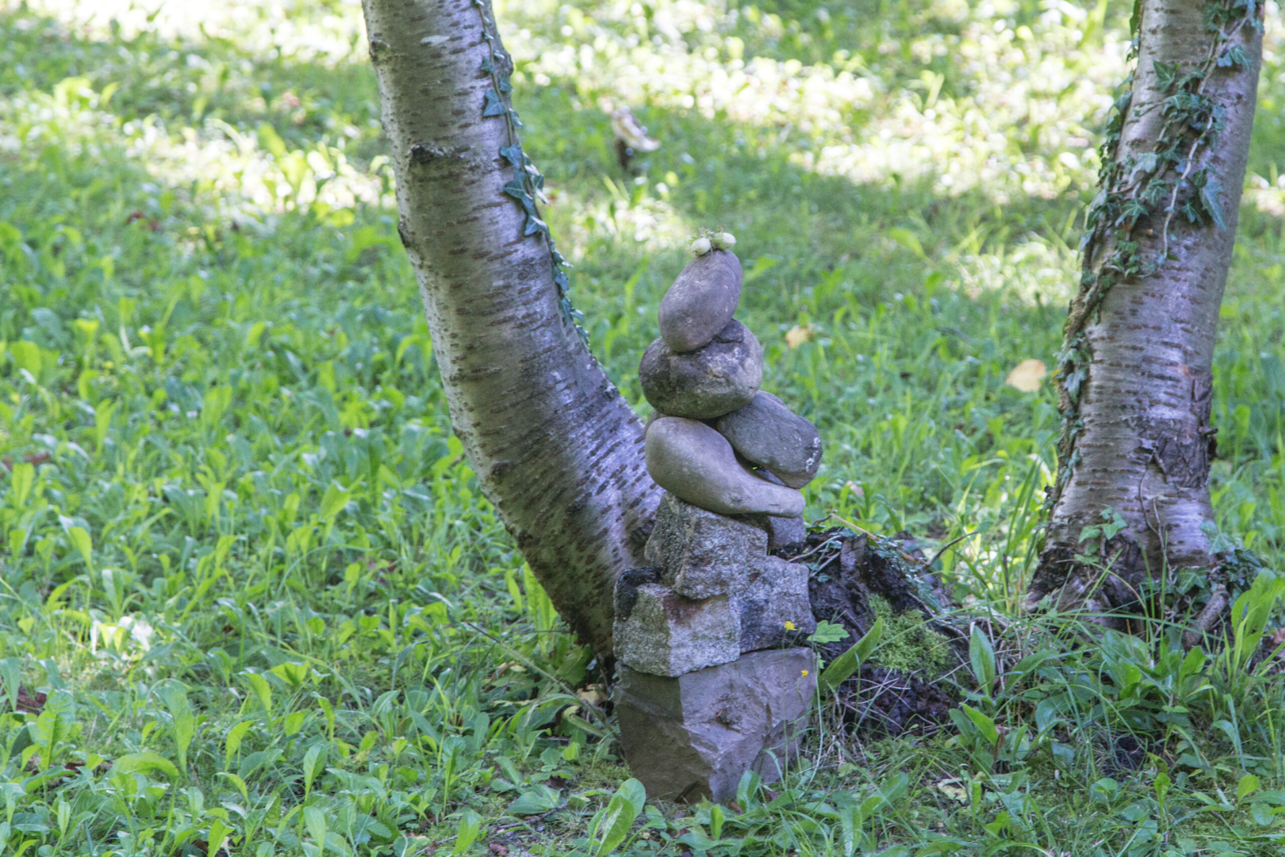 Standort Soulsense Zürich