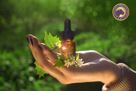 Bachblüten Coach Bachblüten Coach