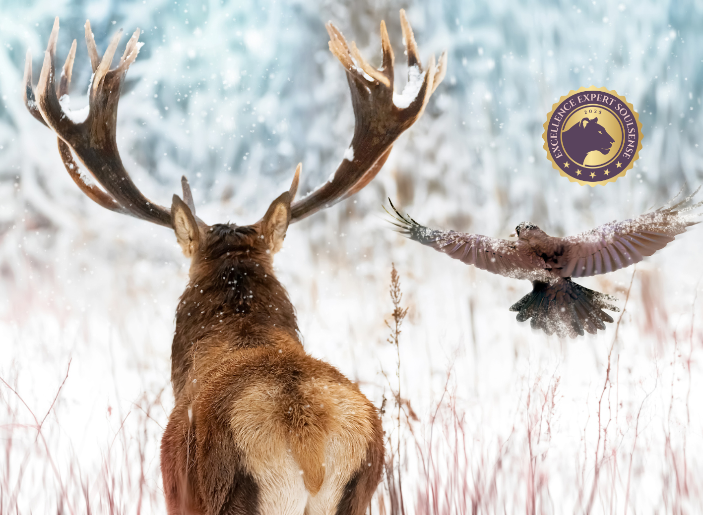 Grundlagen spirituell-psychologische BegleitungCoaching (120 x 88 mm) (19)