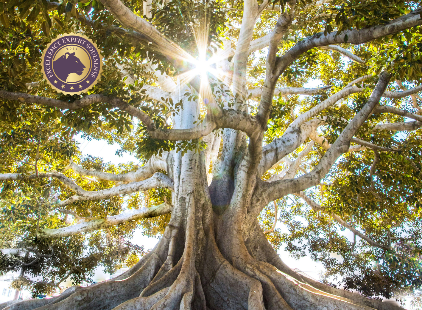 Soul Journey Retreat Soulsense Soul Journey Retreat Soulsense