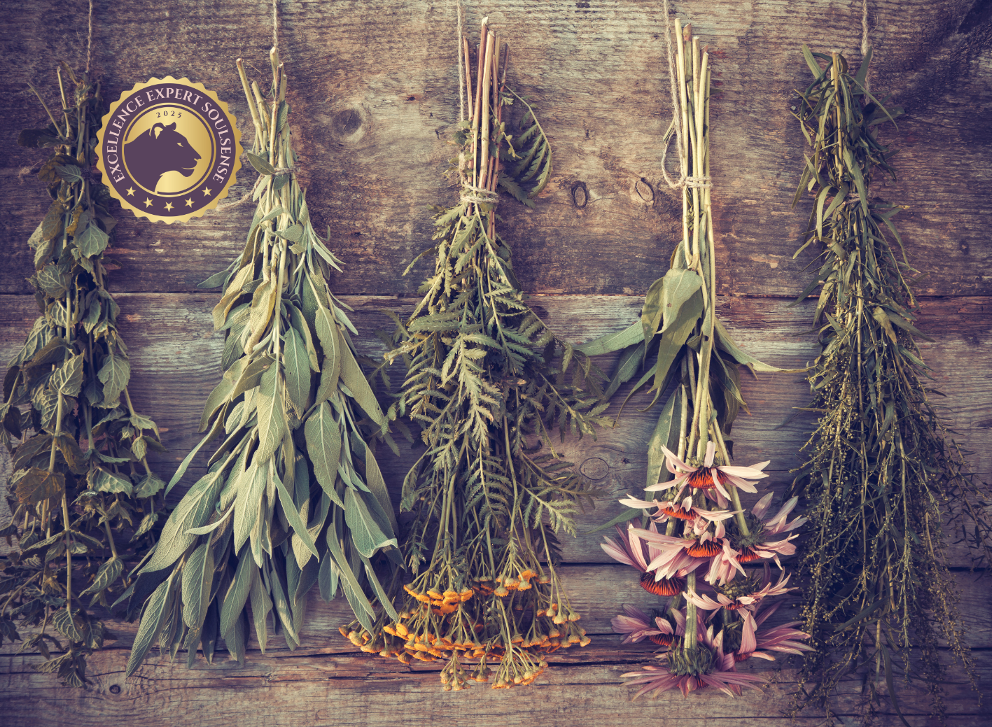 Grundlagen spirituell-psychologische BegleitungCoaching (120 x 88 mm) - 2025-03-20T070624.262