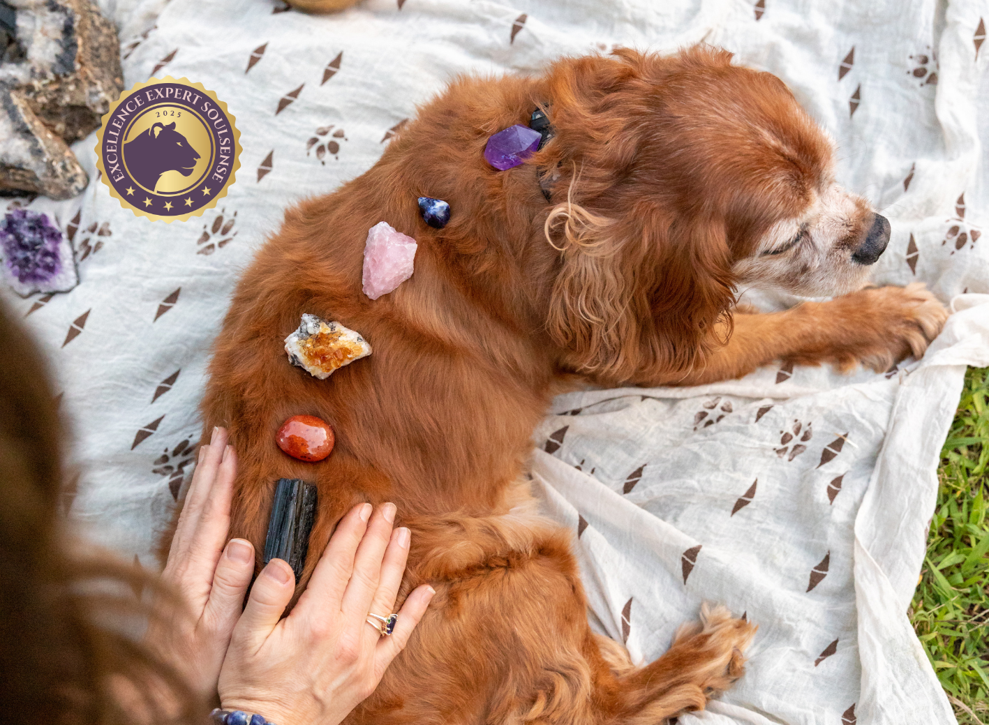 Geistiges und Energetisches Heilen by soulsense.ch