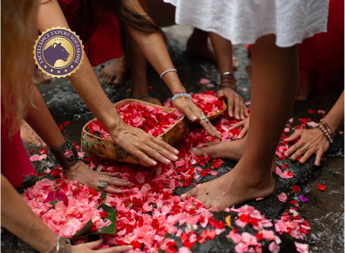 Infoevent Ritualbegleiter/in