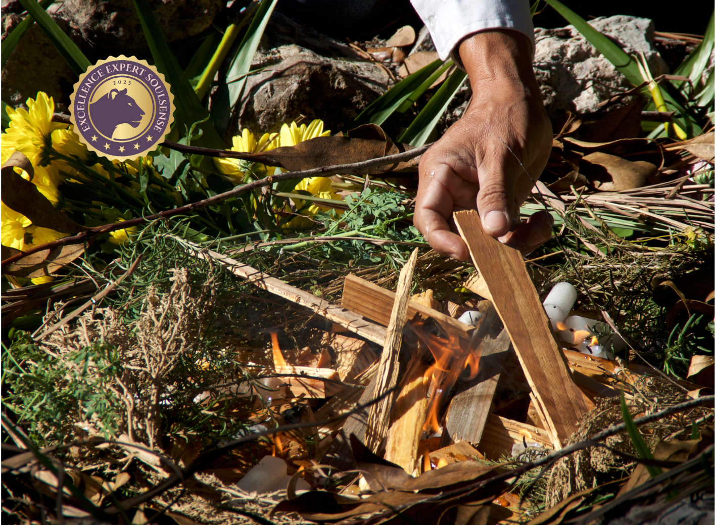 Soul Nature Coach - Spiritual Nature Guide by soulsense.ch