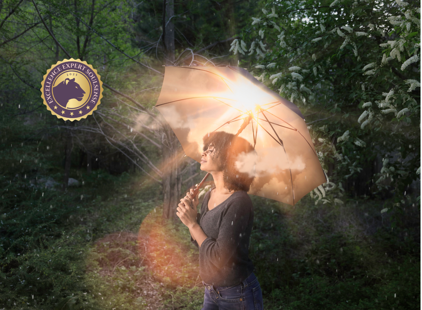 Moments of Excellence Soulsense