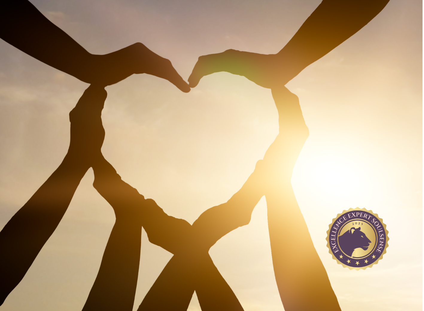 Moments of Excellence Soulsense