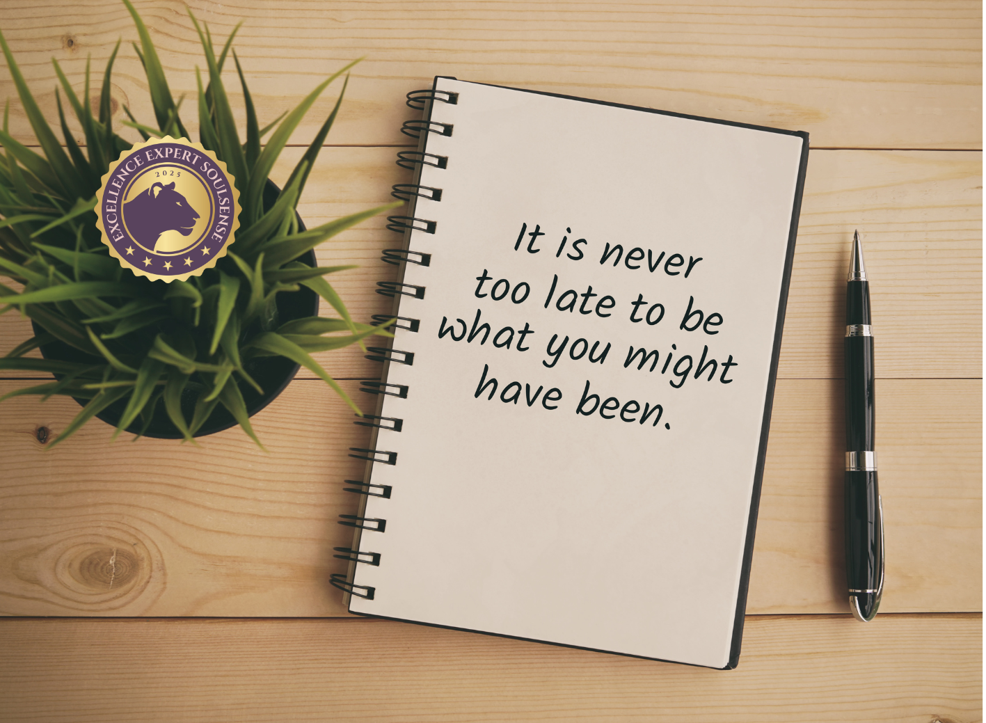 Moments of Excellence Soulsense