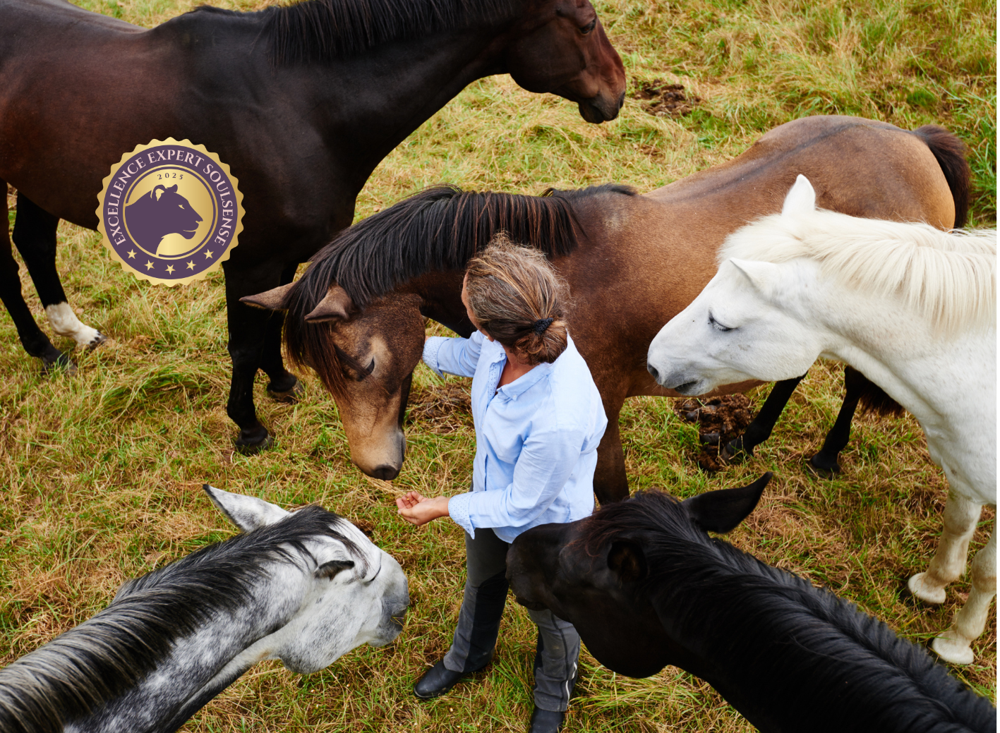 Retreat Soulsense Stressless