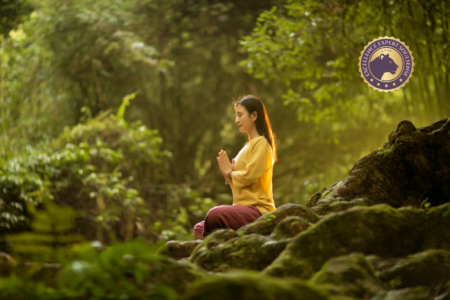 Dipl. Integrale/r Meditationsleiter/in by soulsense.ch