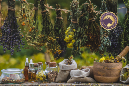 Naturbasierte Drudienmedizin Naturbasierte Drudienmedizin