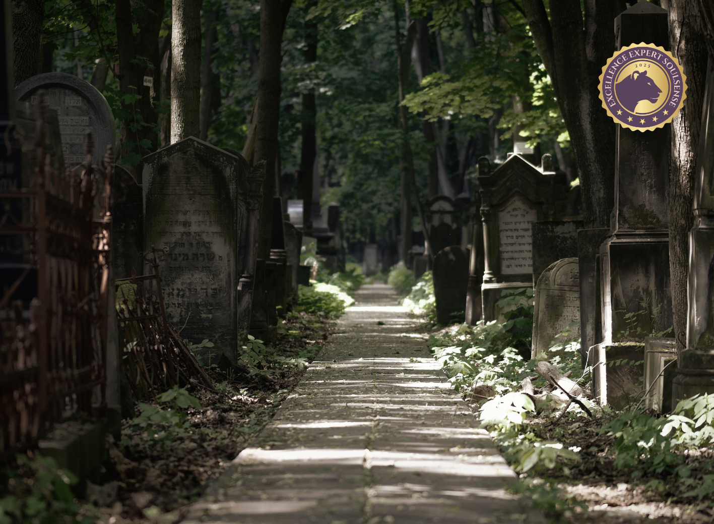 Diplom Sterbe- & Trauerbegleiter/in