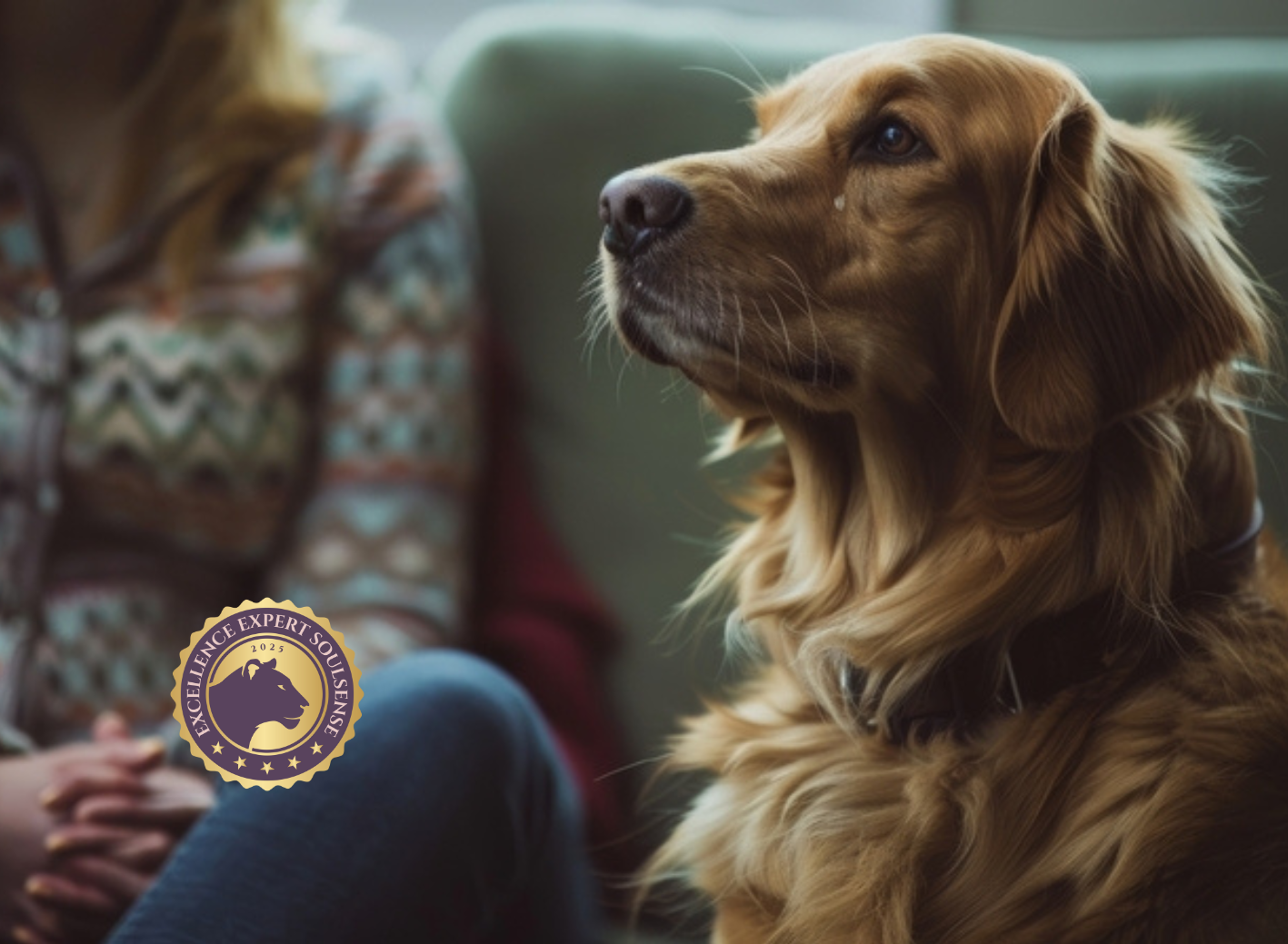 Dipl. Tierkommunikator/in