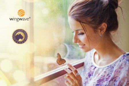 wingwave Coach Ausbildung wingwave Coach