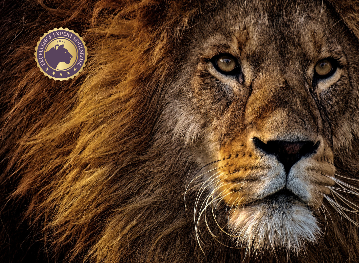 Lionheart Retreat Soulsense