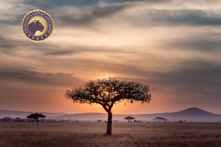 Retreat Lionheart Soulsense Retreat Lionheart Soulsense