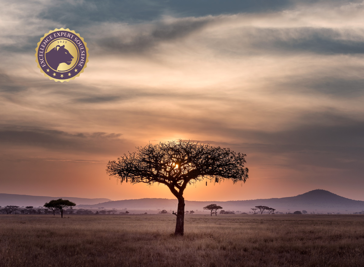 Retreat Lionheart Soulsense Retreat Lionheart Soulsense