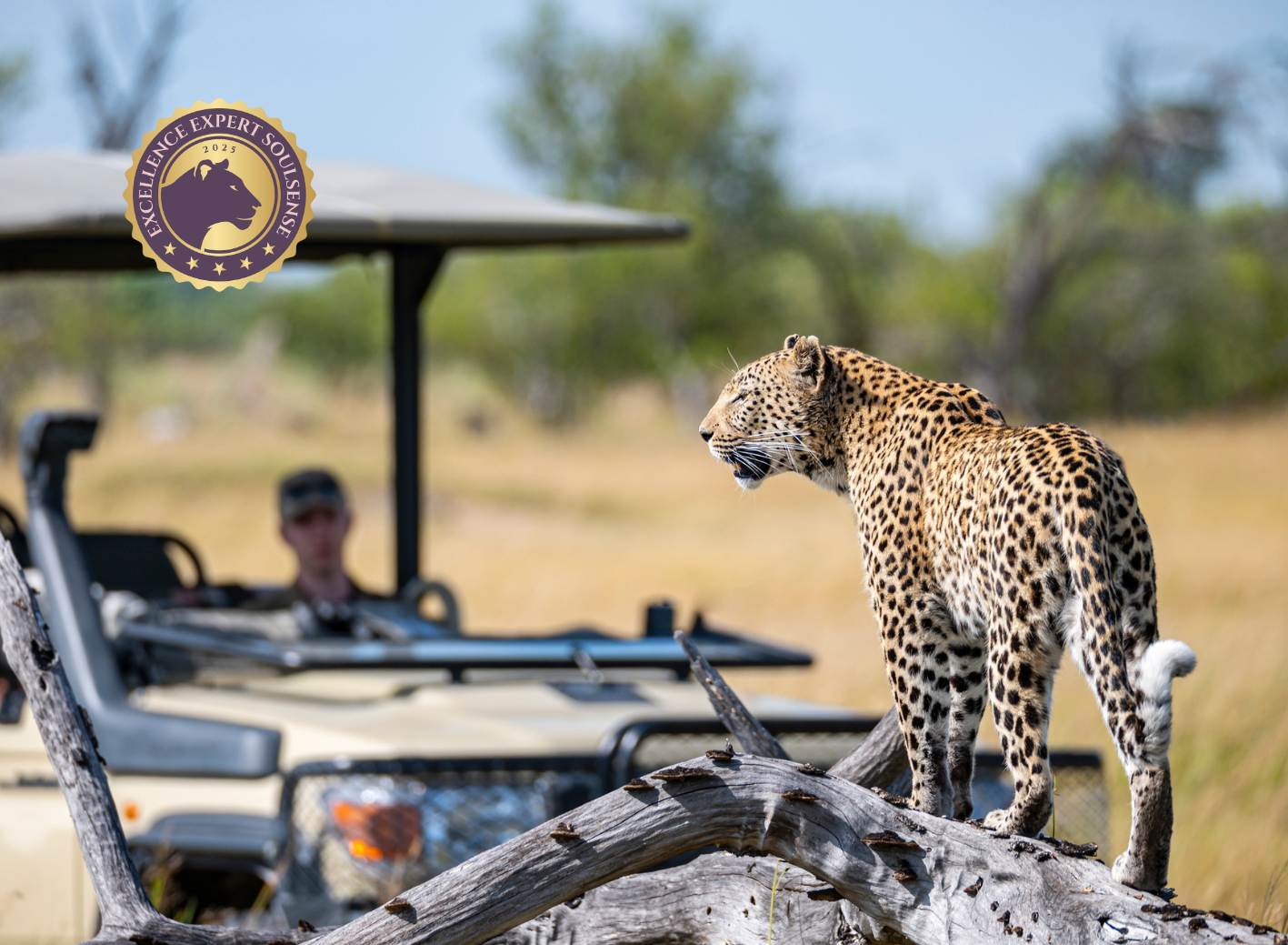 Grundlagen spirituell-psychologische BegleitungCoaching (120 x 88 mm) (70)