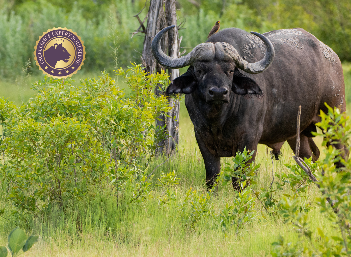 Grundlagen spirituell-psychologische BegleitungCoaching (120 x 88 mm) (72)