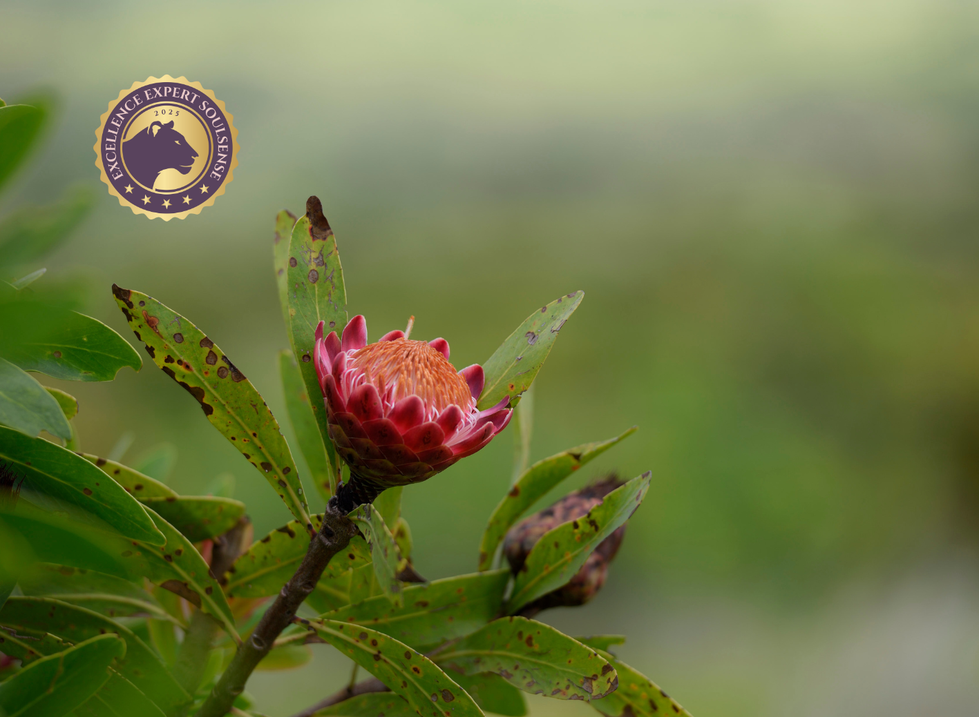 Grundlagen spirituell-psychologische BegleitungCoaching (120 x 88 mm) (74)