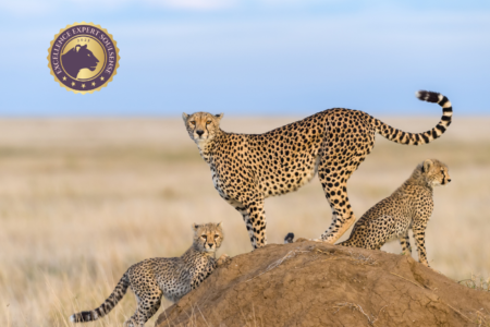 Grundlagen spirituell-psychologische BegleitungCoaching (120 x 88 mm) (75) Grundlagen spirituell-psychologische BegleitungCoaching (120 x 88 mm) (75)