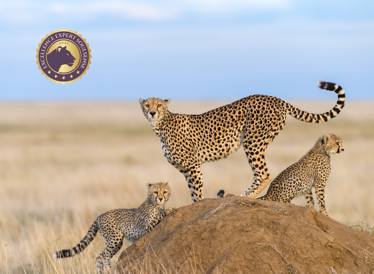 Grundlagen spirituell-psychologische BegleitungCoaching (120 x 88 mm) (75)