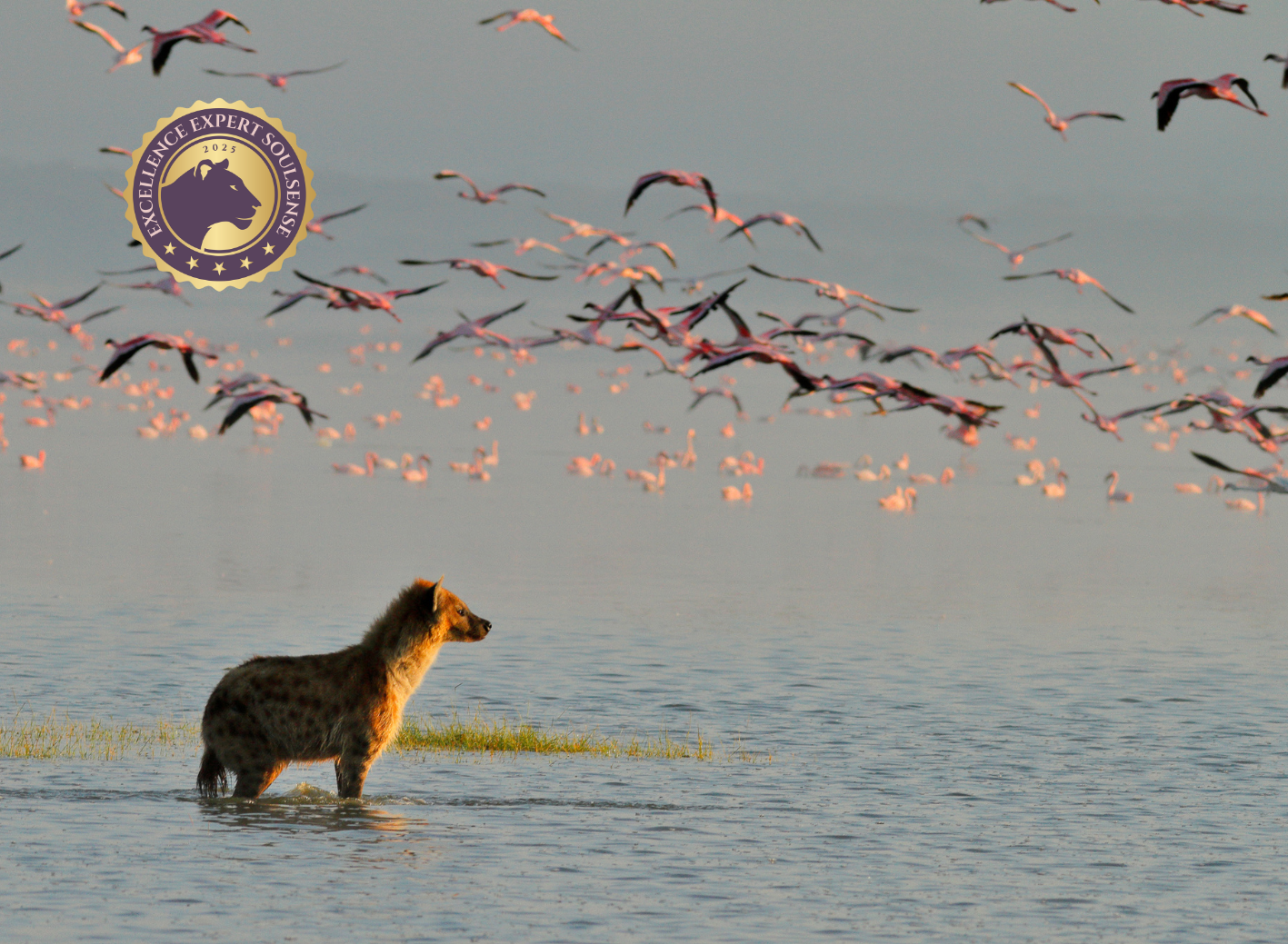 Grundlagen spirituell-psychologische BegleitungCoaching (120 x 88 mm) (76)