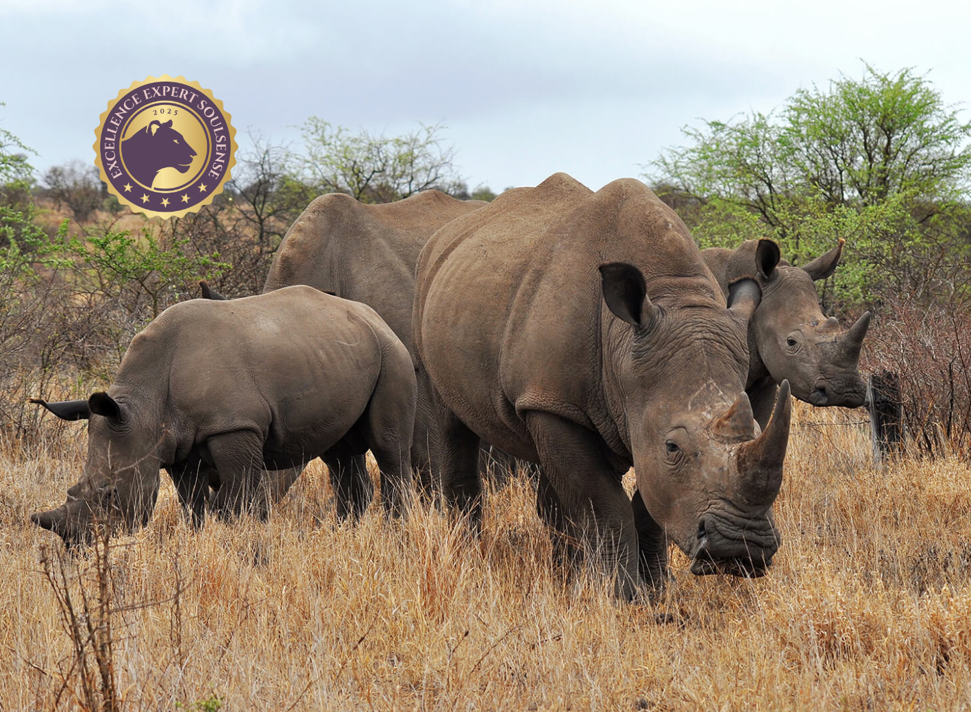 Grundlagen spirituell-psychologische BegleitungCoaching (120 x 88 mm) (77)