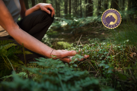 Soul Nature Coach - Spiritual Nature Guide Soul Nature Coach - Spiritual Nature Guide