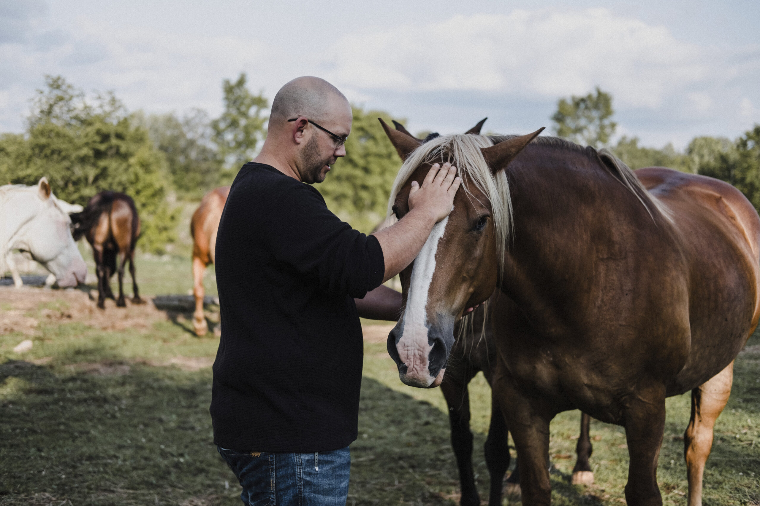 Retreat Soulsense Stressless