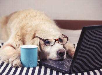 dreamstime_m_171768356