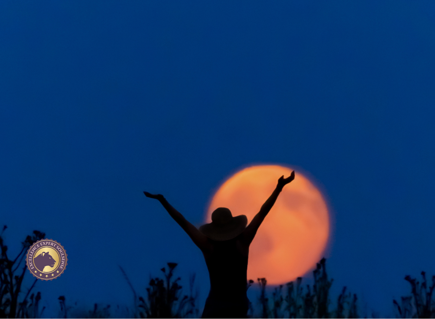 Coaching Psychologie - 2025-08-09T175939.702