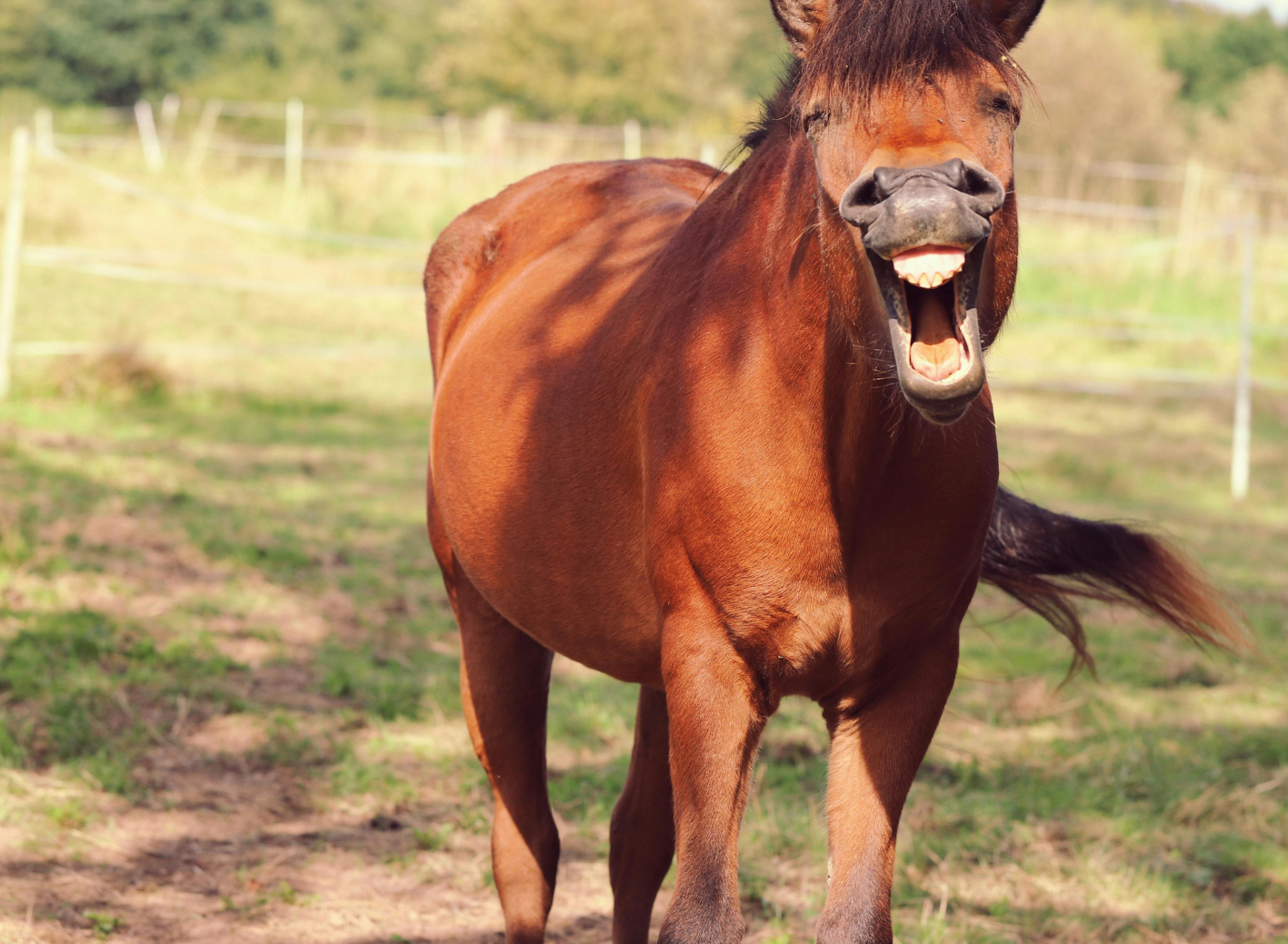 Grundlagen spirituell-psychologische BegleitungCoaching (120 x 88 mm) (81)