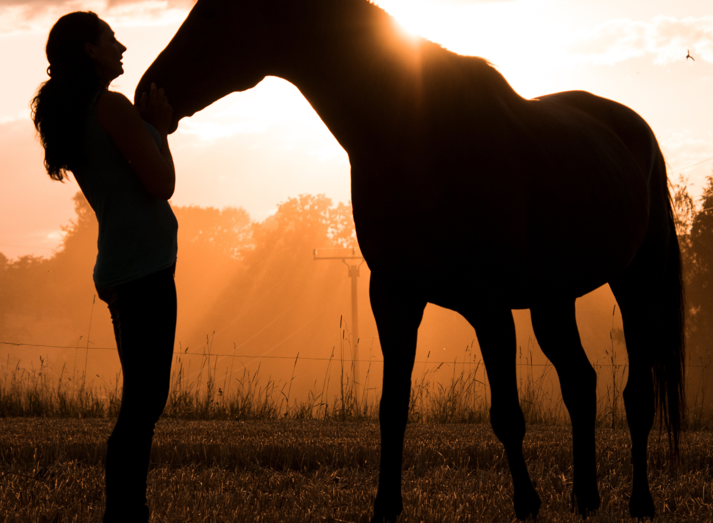 Grundlagen spirituell-psychologische BegleitungCoaching (120 x 88 mm) (82)