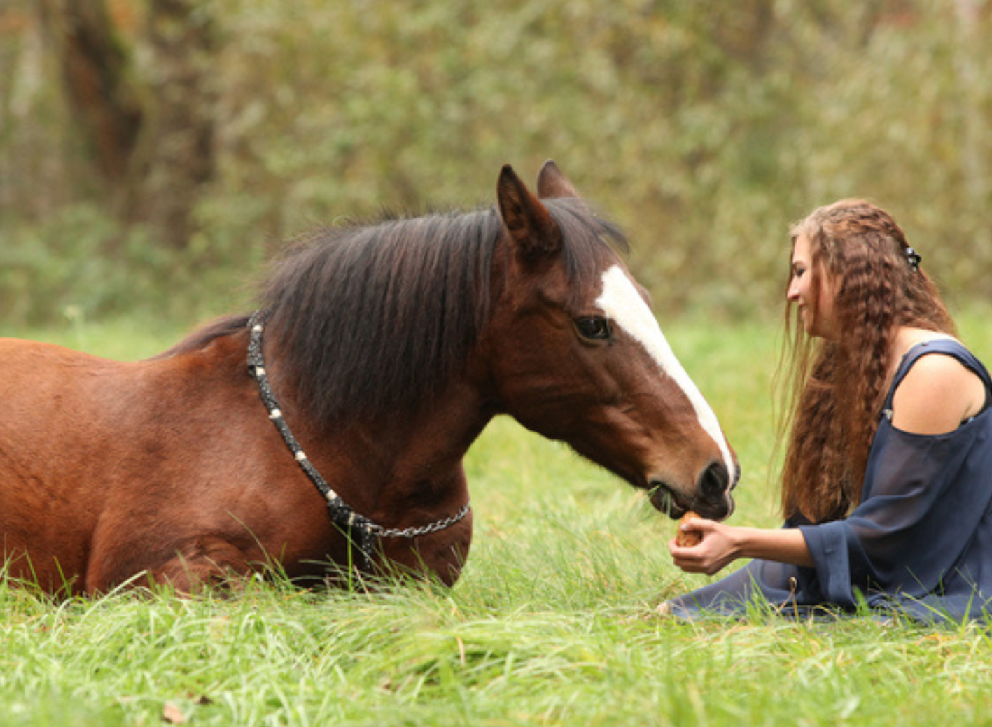 Grundlagen spirituell-psychologische BegleitungCoaching (120 x 88 mm) (83)