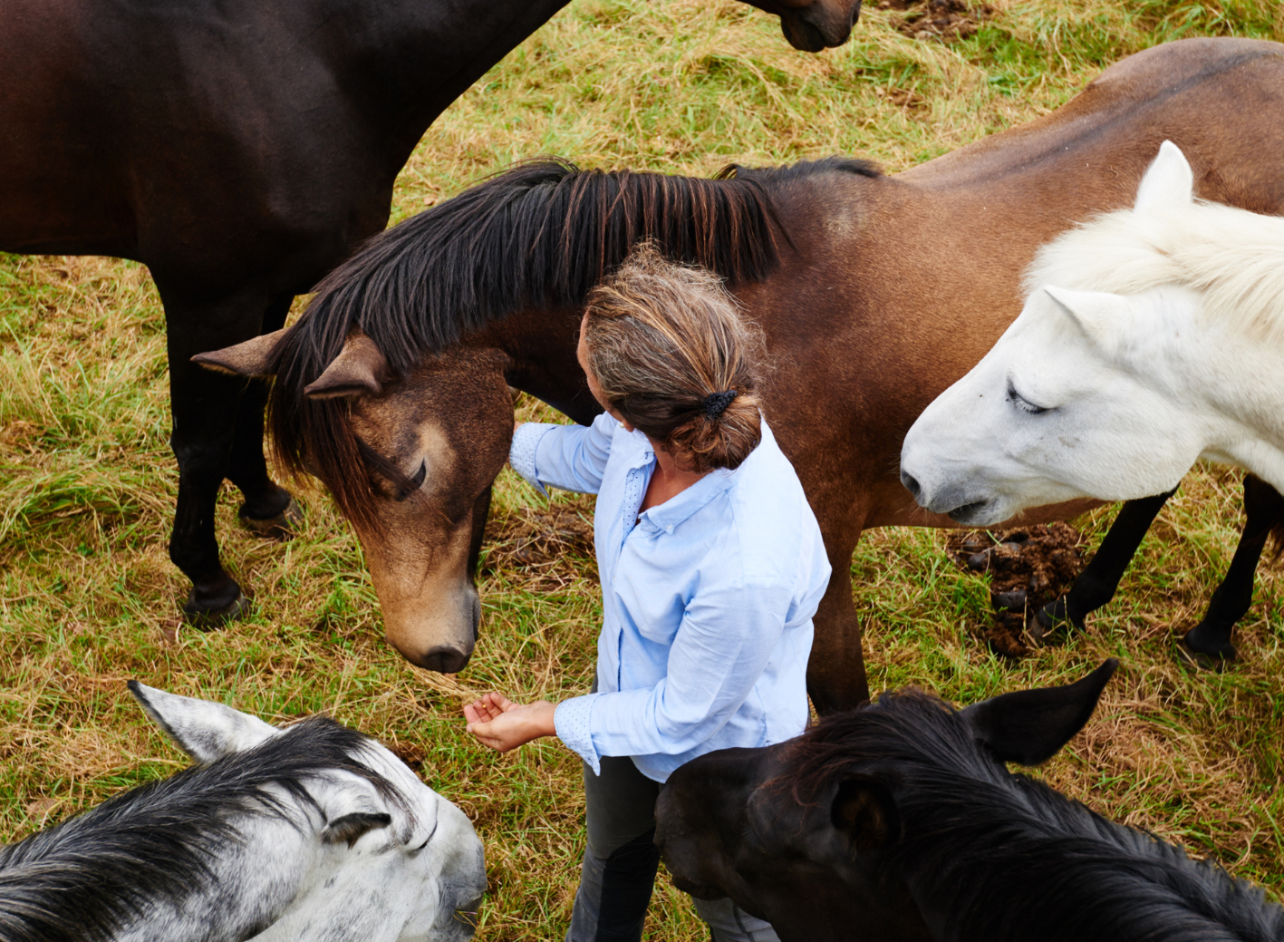 Grundlagen spirituell-psychologische BegleitungCoaching (120 x 88 mm) (84)