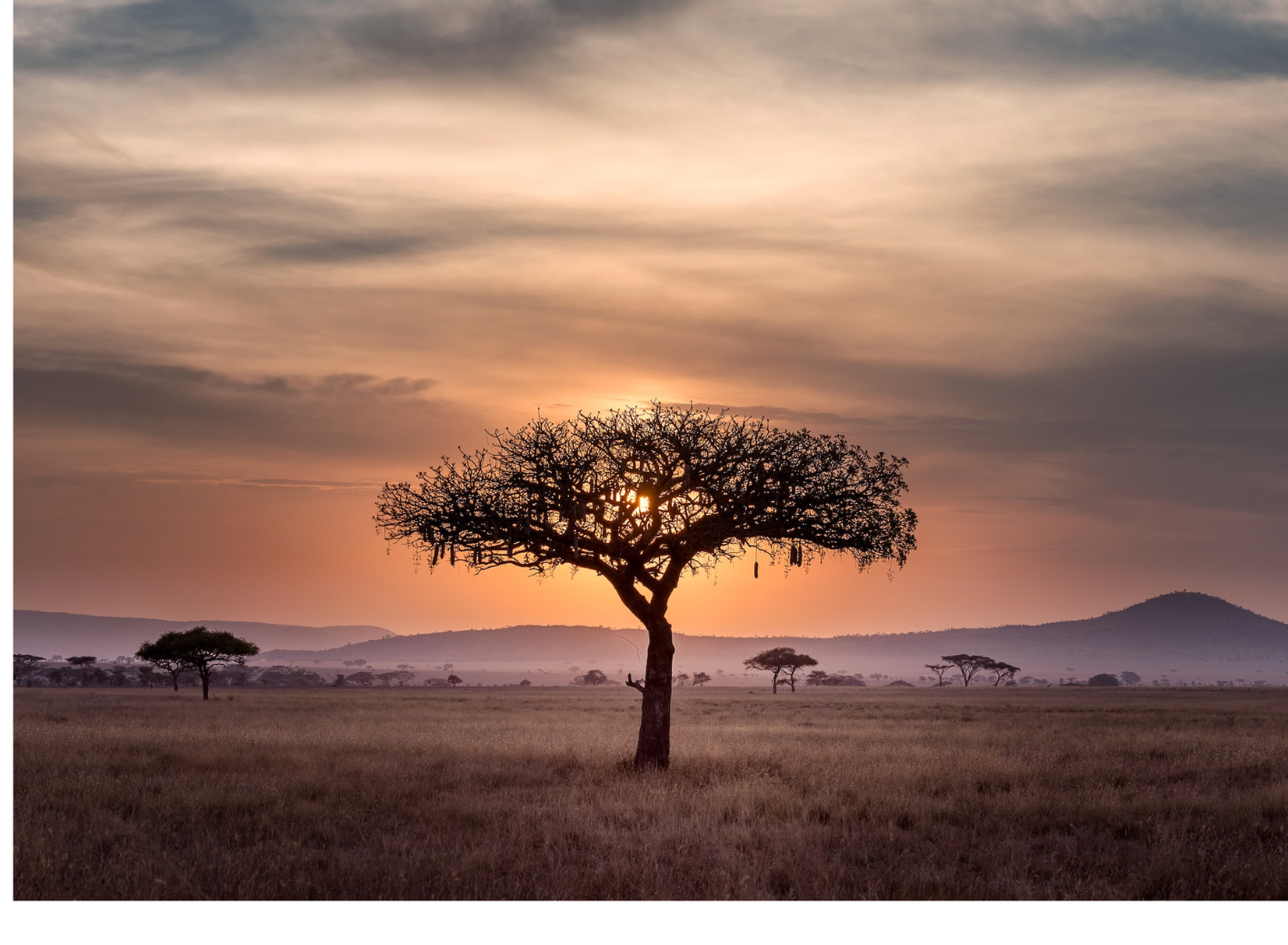 Kopie von Coaching Psychologie (11) - Kopie