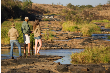 Kopie von Coaching Psychologie (13) - Kopie Kopie von Coaching Psychologie (13) - Kopie