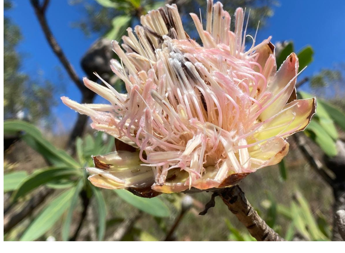 Kopie von Coaching Psychologie (14) - Kopie - Kopie