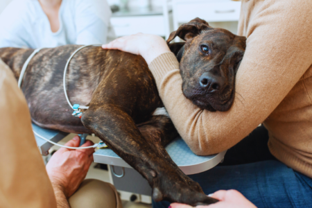 Kopie von Kopie von Coaching Psychologie (30) Kopie von Kopie von Coaching Psychologie (30)