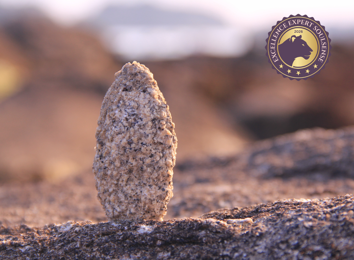 Kopie von Kopie von Coaching Psychologie (8)